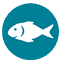 Pescado